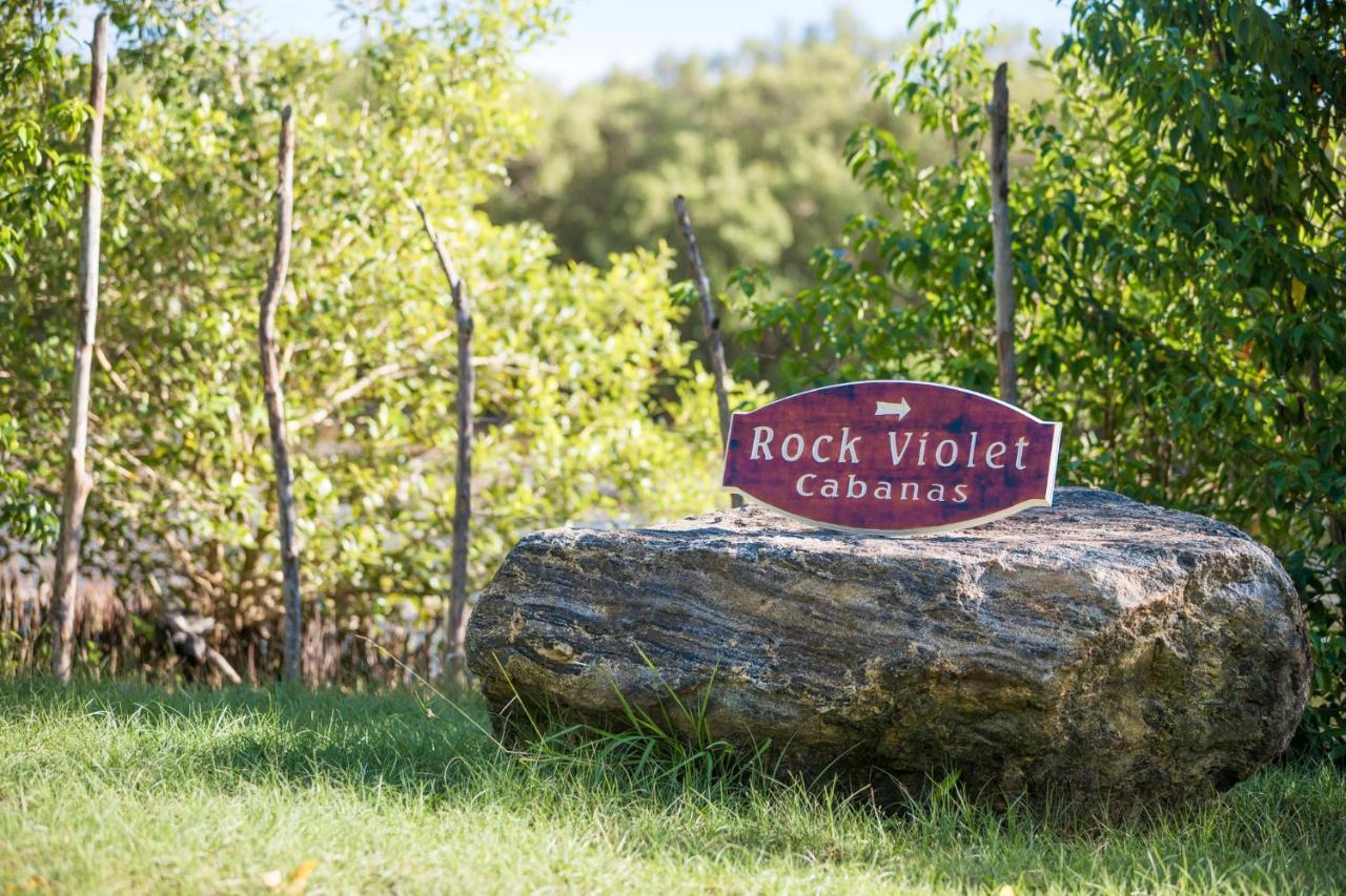लॉज Rock Violet Lakefront & Restaurent